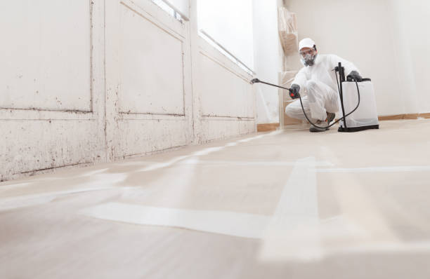 24/7 Emergency Crawl Space Mold Removal experts in Port Angeles, WA