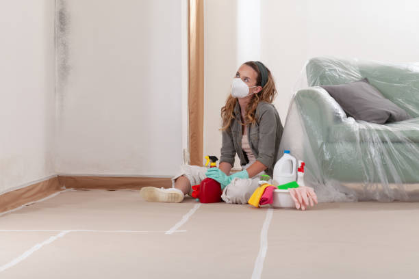 Reliable Crawl Space Mold Removal contractor in Port Angeles, WA by WQB Mold Removal
